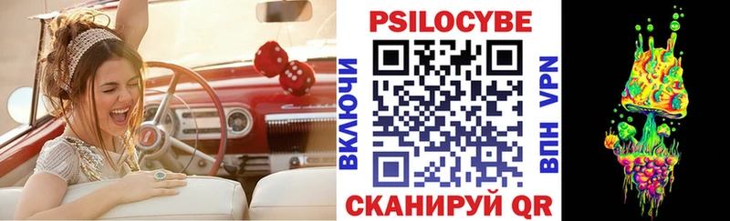 Купить закладки  Чкаловск  Псилоцибиновые грибы Psilocybe 